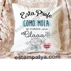Cojin profe como mola se merece una ola