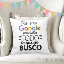 Cojin No eres Google pero tienes todo..